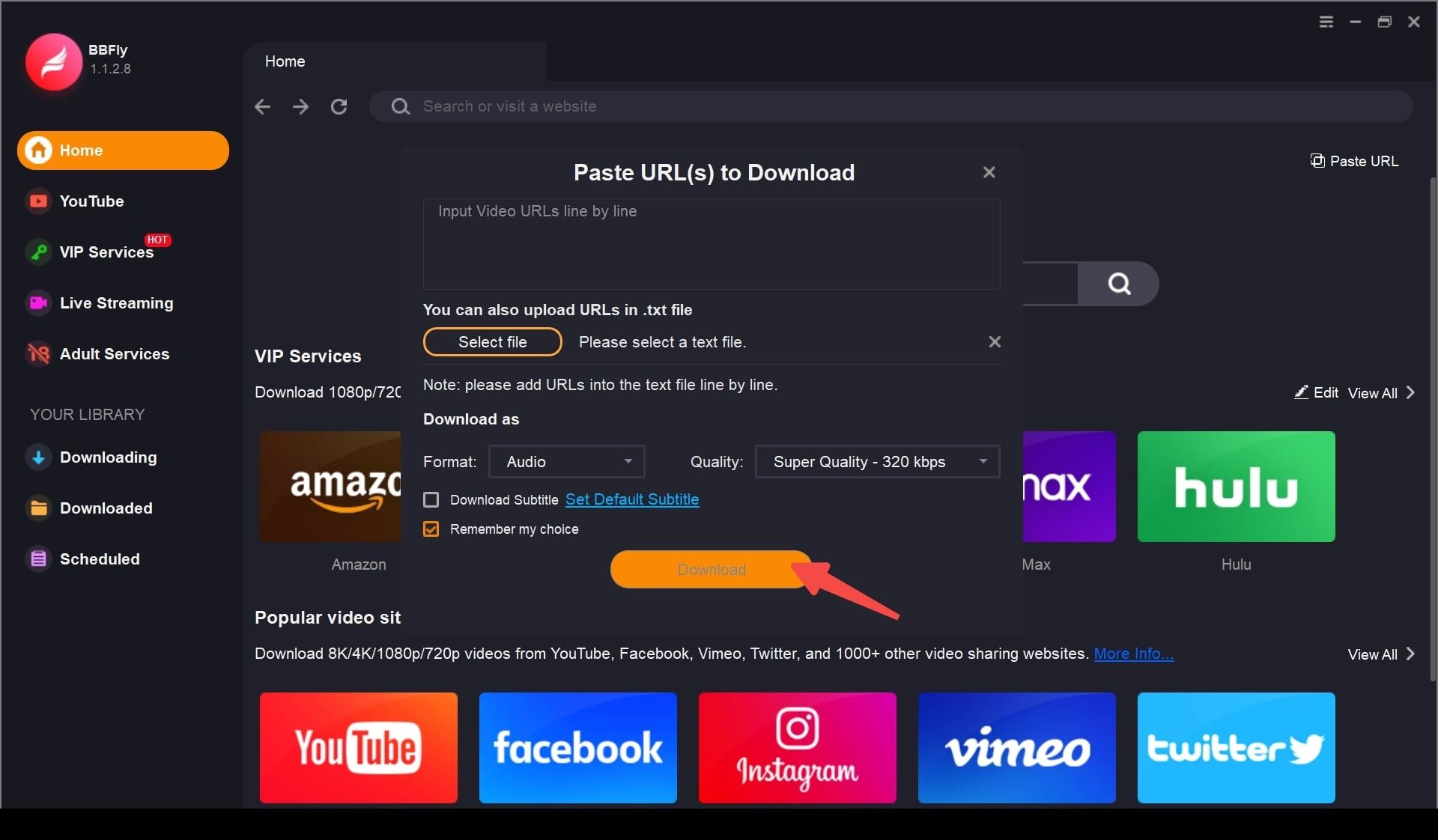<b>Passaggio 3: </b>Scegli le opzioni di download e fai clic su «Scarica ora».